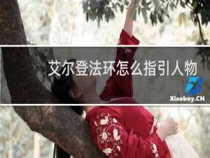 艾尔登法环怎么指引人物