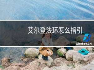 艾尔登法环怎么指引