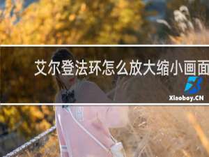 艾尔登法环怎么放大缩小画面