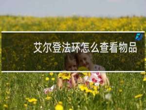 艾尔登法环怎么查看物品