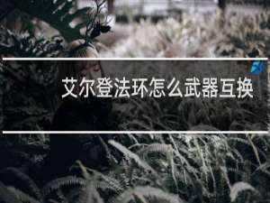 艾尔登法环怎么武器互换