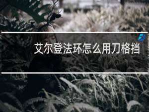 艾尔登法环怎么用刀格挡