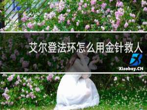 艾尔登法环怎么用金针救人