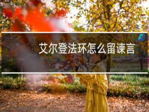 艾尔登法环怎么留谏言