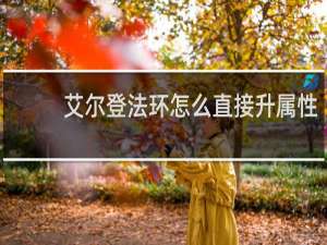 艾尔登法环怎么直接升属性