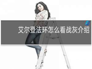 艾尔登法环怎么看战灰介绍