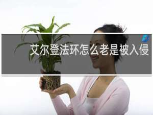 艾尔登法环怎么老是被入侵