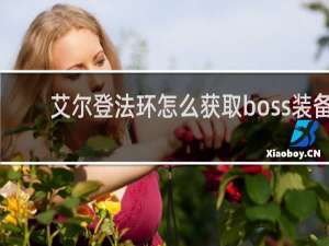 艾尔登法环怎么获取boss装备