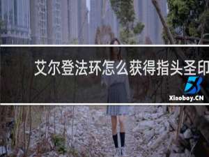 艾尔登法环怎么获得指头圣印