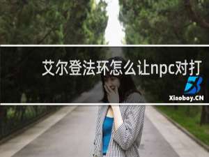 艾尔登法环怎么让npc对打