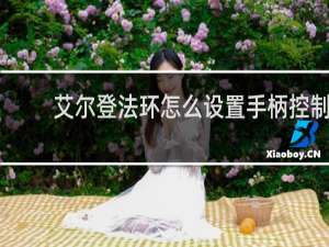 艾尔登法环怎么设置手柄控制
