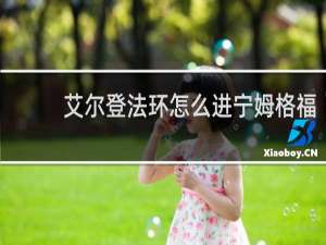 艾尔登法环怎么进宁姆格福