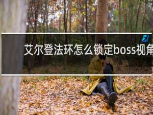 艾尔登法环怎么锁定boss视角