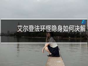 艾尔登法环怪隐身如何决解
