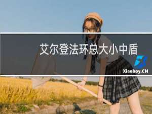 艾尔登法环总大小中盾