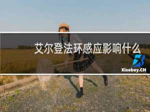 艾尔登法环感应影响什么