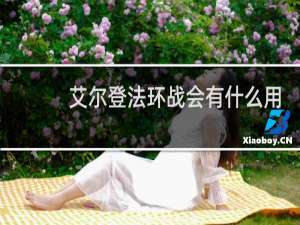 艾尔登法环战会有什么用