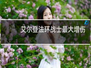 艾尔登法环战士最大增伤
