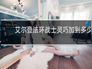 艾尔登法环战士灵巧加到多少