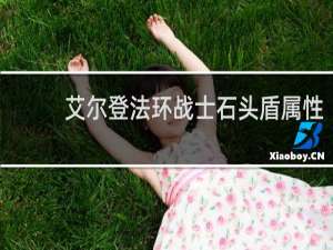 艾尔登法环战士石头盾属性