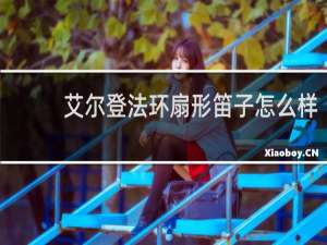 艾尔登法环扇形笛子怎么样