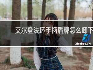 艾尔登法环手柄盾牌怎么卸下