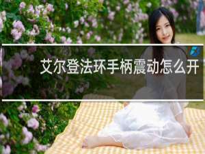 艾尔登法环手柄震动怎么开