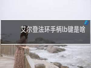 艾尔登法环手柄lb键是啥