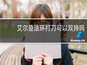 艾尔登法环打刀可以双持吗