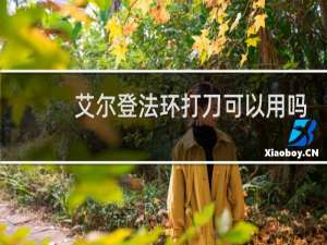 艾尔登法环打刀可以用吗