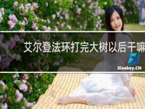 艾尔登法环打完大树以后干嘛