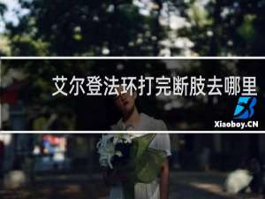 艾尔登法环打完断肢去哪里