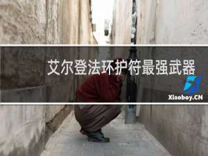 艾尔登法环护符最强武器