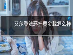 艾尔登法环护黄金戟怎么样