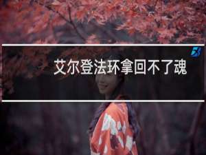 艾尔登法环拿回不了魂