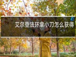 艾尔登法环拿小刀怎么获得