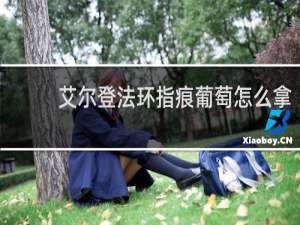 艾尔登法环指痕葡萄怎么拿