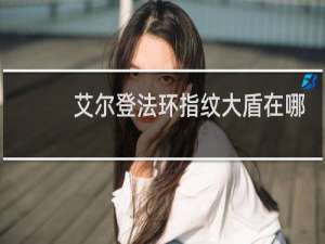 艾尔登法环指纹大盾在哪
