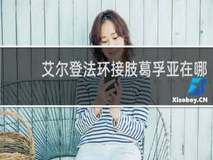 艾尔登法环接肢葛孚亚在哪