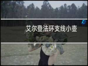 艾尔登法环支线小壶
