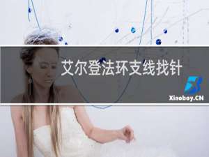 艾尔登法环支线找针
