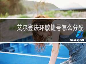 艾尔登法环敏捷号怎么分配