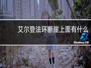 艾尔登法环断崖上面有什么