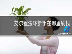 艾尔登法环新手在哪里刷钱
