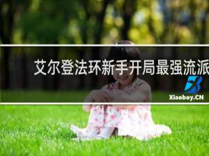 艾尔登法环新手开局最强流派