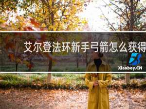 艾尔登法环新手弓箭怎么获得