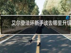 艾尔登法环新手该去哪里升级