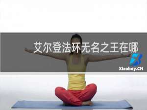艾尔登法环无名之王在哪