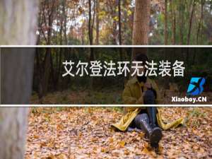 艾尔登法环无法装备