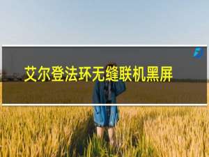 艾尔登法环无缝联机黑屏